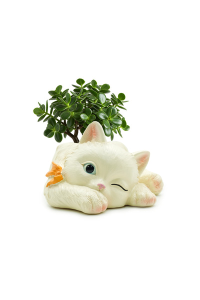 Generic Marketplace Peek A Boo Cat Cartoon Flower Pot Polyresin Cute Cat Succ...