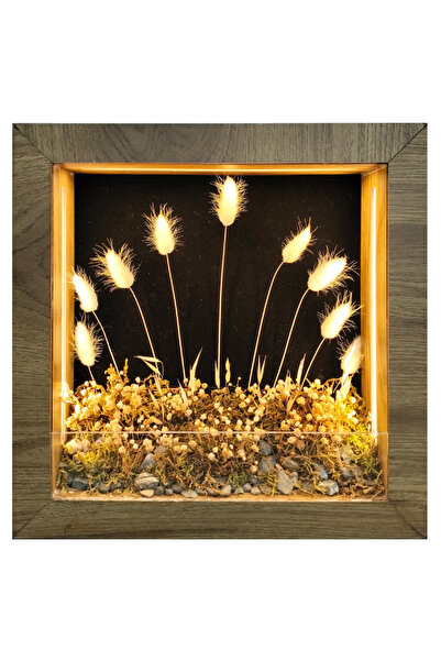 Işıklı Dekoratif Çerçeve LED Siyah Fon Beyaz Kuru Bitki El Yapımı Botanik Obje 31x31x6 cm