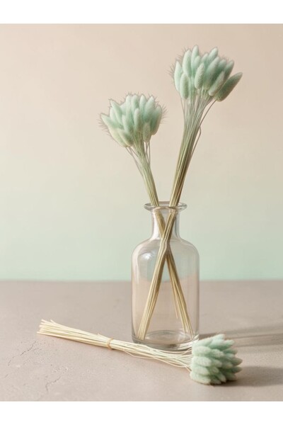 Generic Dried Flower Bundle (Rabbit Tail / Lagurus) - Available in Various Co...