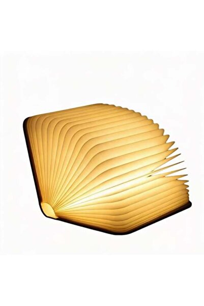 ٍSiera Light مصباح الكتاب