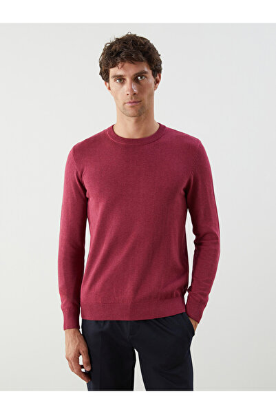 LC Waikiki Crew Neck Long Sleeve Men's Tricot Sweater