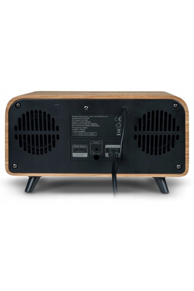 THOMSON Radio de rețea FM, alimentat cu baterii, RT850BT