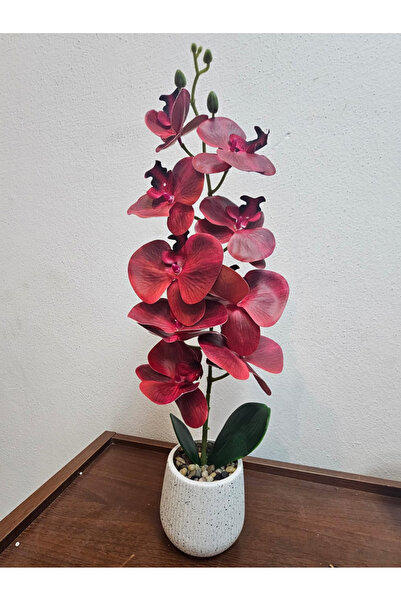 co arma Artificial Orchid Flower with Glass Vase Beautiful and Exquisite Shap...