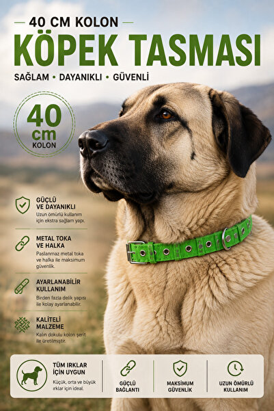 40 cm Kolon Köpek Tasması – Ayarlanabilir, Metal Tokalı, Dayanıklı ve Güvenli