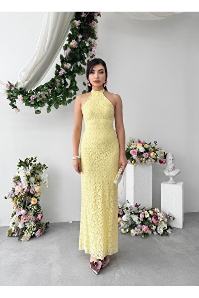 Clothes Fast Women's Sari Lace Dress Halter Neck Sleeveless Backless Bodycon ...