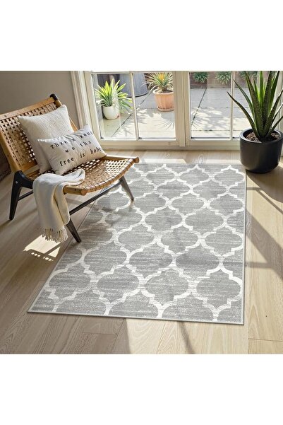 GENERAL Lahome Moroccan Area Rug - 2’x3’Washable Small Entryway Accent Distre...