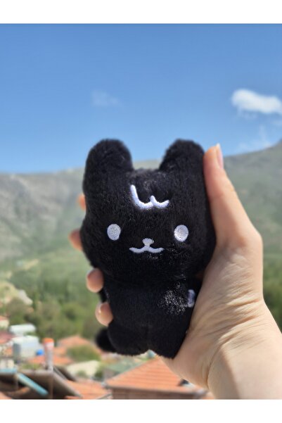 Sntay ATEEZ aniteez peluş ateez in the calling vers peluş oyuncak