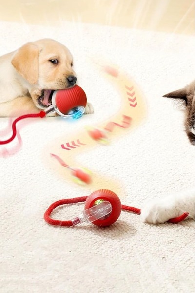 i-pets ŞARJLI KEDİ TOPU IŞIKLI HAREKETLİ 3 MODLU KEDİ OYUNCAĞI C02