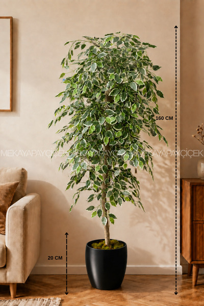 Meka Yapay Çiçek Benjamin (Starlight) Yapay Ağaç 160 Cm Yakut Saksı