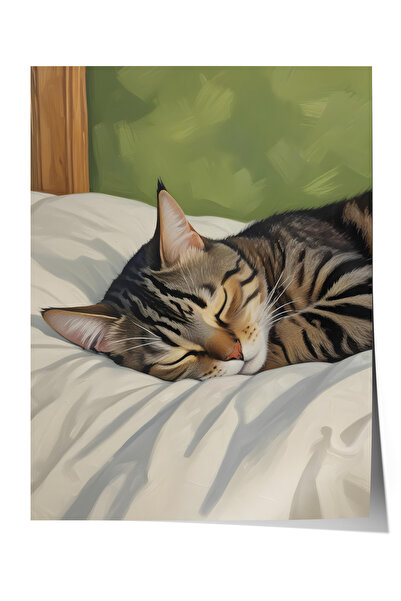 Uyuyan Tekir Kedi Dekoratif Duvar Posteri Çerçevesiz Poster Ev Ofis Duvar Dekoru