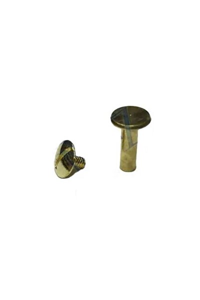 pınaxar Screw for Skin Menu, Catalog, Index Card Holder, 13mm - Yellow, 1 Piece