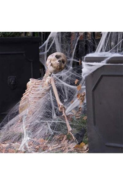 Generic Brand Halloween Spider Webs Decorations, 32Sqfts White Fake Spider We...
