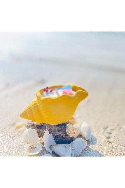 Generic Sea Shell Scented Good Luck Candle, Crackling Sound from Sea Shell/Co...