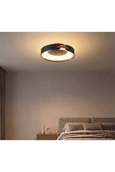Vonalight Desıng Project 3ışık LED, RAL7016 Antrasit , 40cm Çember Led Tavan ...