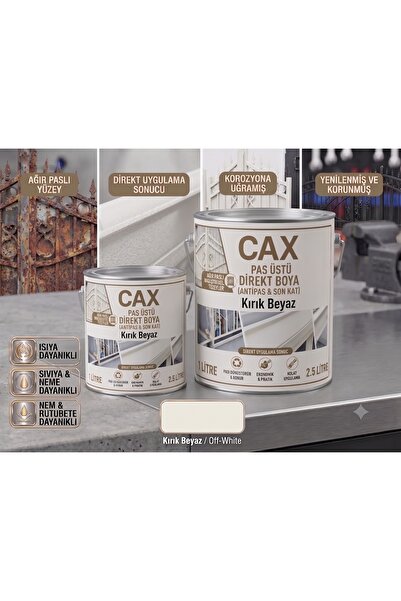caxcolors CAX Pas Üstü Direkt Metal Boyası Antipas Dahil Koruyucu Parlak Dış ...