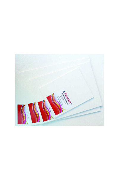 Ponart Press Tuval 25x35