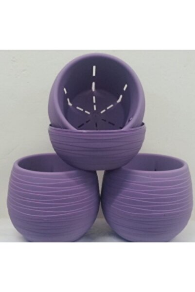 Genel Markalar Atay Plastik Sahra Saksı 3 Adet No:1 Lila Kaktüs Ve Sukulent I...