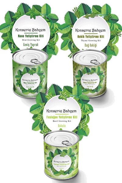 Mint Thyme Basil 3 Vegetable Growing Kit - Seedling Vegetable Seed and Peat Set