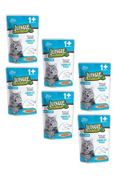 Jungle Pouch Somonlu Gravy Soslu Kedi Maması 100 gr X 6 Adet