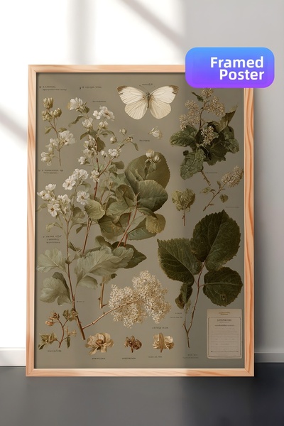 Zestia Pictură murală vintage, plante botanice și fluturi înrămate în lemn Nr...