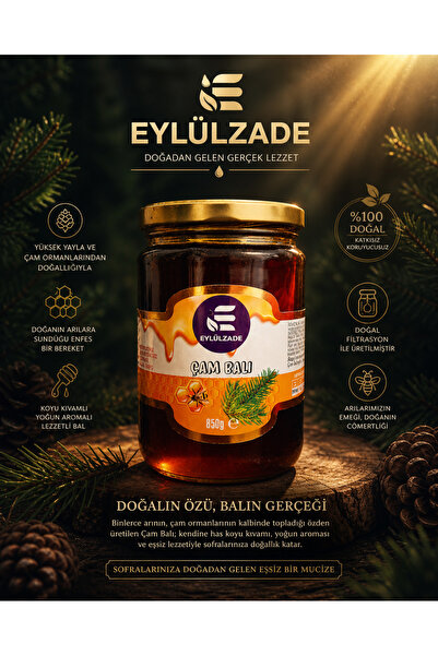 EYLÜLZADE DOĞAL HAM ÇAM BALI (800 GRAM)