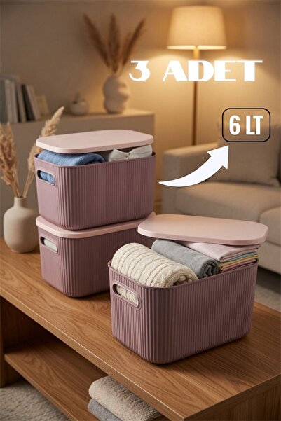 Bayev 3 Pieces Storage 6lt Plum Multi-Purpose Closet Organizer Box with Lid, ...