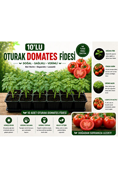 Mera Çiçekçilik Oturak Domates Fidesi 10 Adet