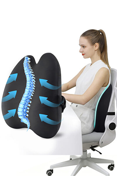 Generic Memory Foam Lumbar Support Pillow with Adjustable Straps | Ergonomic ...