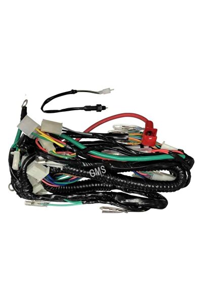 Mondial Elektrık Tesısatı Cup-Çelık-Falcon