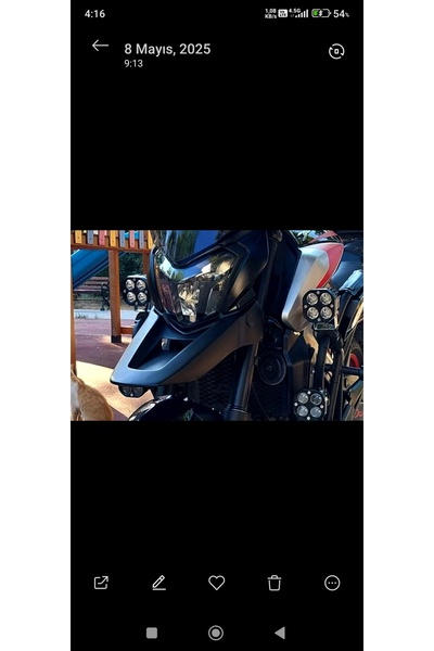 Bajaj Dominatör Aksesuar Gaga