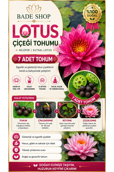 Genel Markalar 7 Adet Karışık Renklerde Lotus (Nilüfer) Çiçeği Tohumu