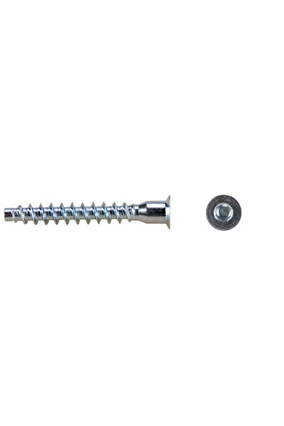 Evotools Șurub pentru PAL cu cap înecat (Euroșurub) P - Cantitate 100 7 mm 50 mm