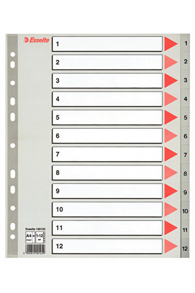 Esselte Divizoare index din plastic 1-12 Maxi