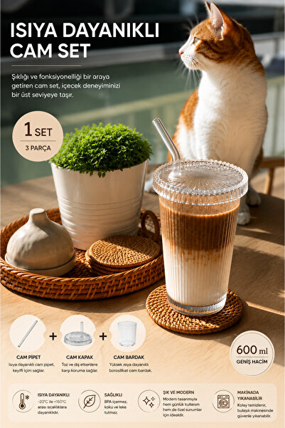 KÜÇÜK EW 1 Piece 400 ml Origami Style Glass Cup with Glass Lid and Straw | Co...