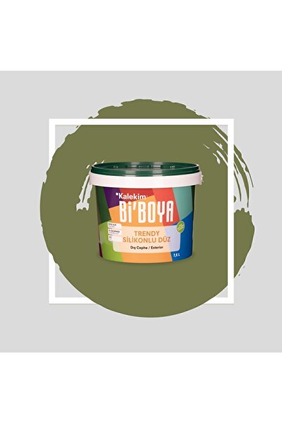 Bi Boya Silikonlu Dış Cephe Duvar Boyası 7.5 Lt 4206