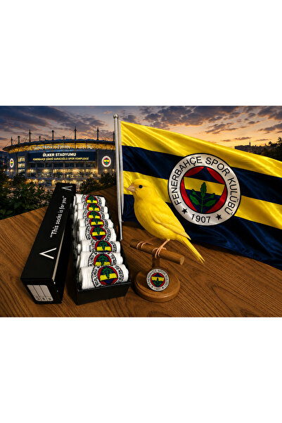 AyganStore 8 Çift Unisex F.E.N.E.R.B.A.H.Ç.E Renkli Desenli Soket Çorap Desen...