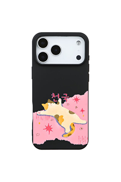 Casen iPhone 17 Pro Siyah Cat Sleeping Kamera Korumalı Premium Lansman Renkli...
