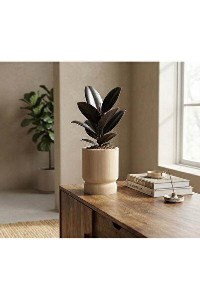 yumyhome Modern Çizgili Dekoratif Saksı Seti - 3'lü Boho Serisi