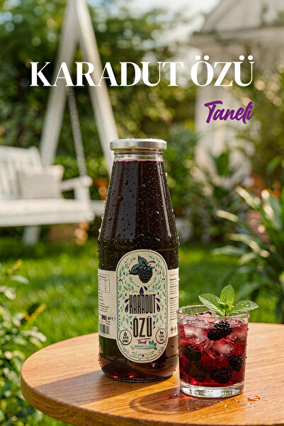 Karadut Dünyası Taneli Karadut Özü 950 gr