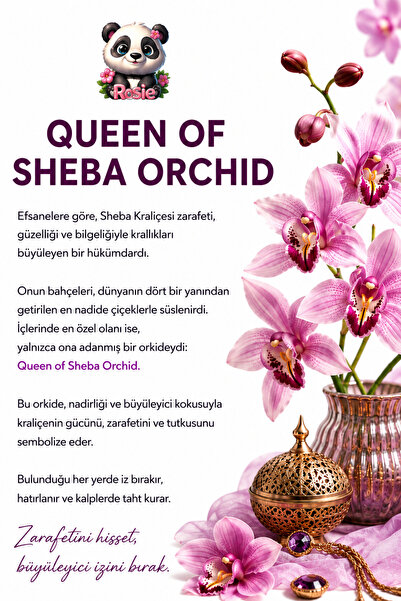 Rosie Queen of Sheba Orchid Oda ve Kumaş Spreyi 250 ml, Egzotik Orkide Kokusu, Tekstil Kokusu