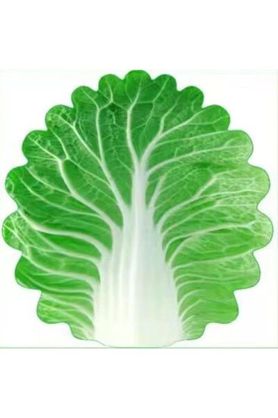 Choice 85x85cm Flannel Creative Blanket Baby Bok Choy Blanket Cabbage Blanket...