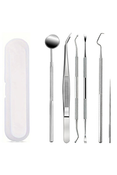 Choice3 6PCS-A Teeth Cleaning Aid, Teeth Cleaning, Stainless Steel Toothpick ...
