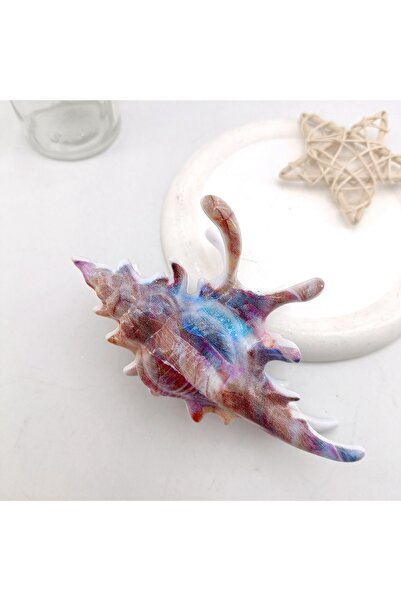 Choice Hair Claws 06 High Quality Plastic Wave Crab Claw Clips conch ocean de...