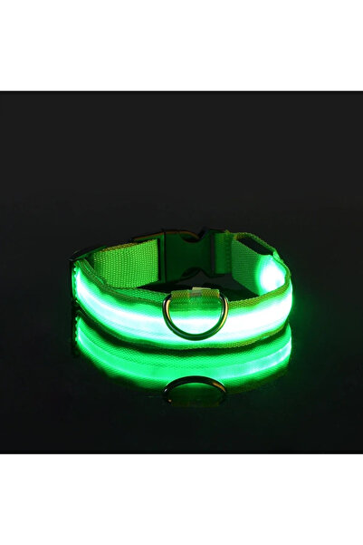 Choice M neck 37-46cm green Dog Collar Nylon LED Night Safety Flashing Glow I...
