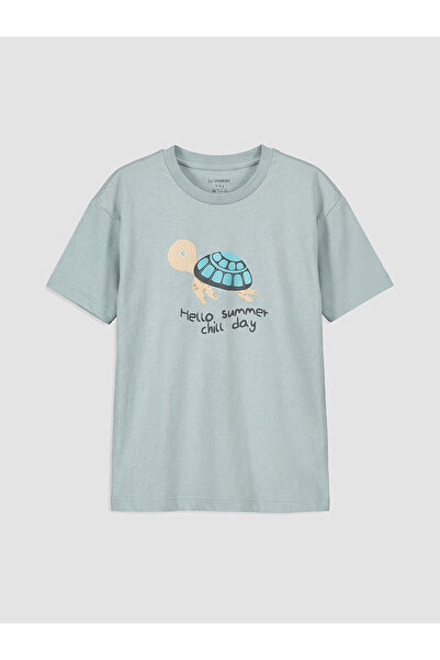 LC Waikiki Original Oval Collar Printed Boy's T-Shirt