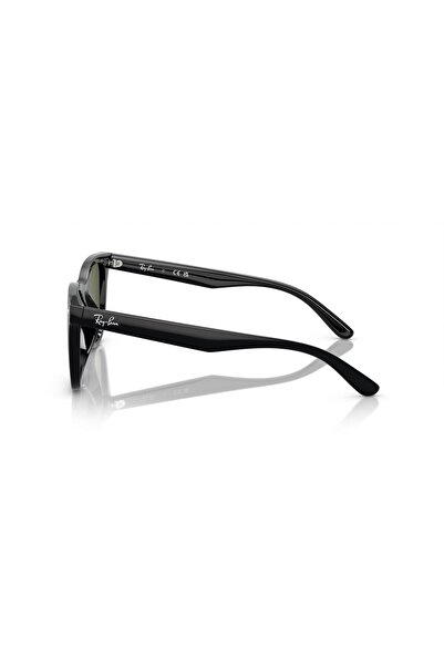 Ray-Ban RB4420 Güneş Gözlüğü 65mm