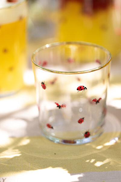 Rakle Lady Bird Set of 4 Water Glasses 380 Cc