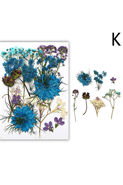 Choice10 K Dried Flowers Real Natural Plant Pressed Flower For Epoxy Resin Fi...