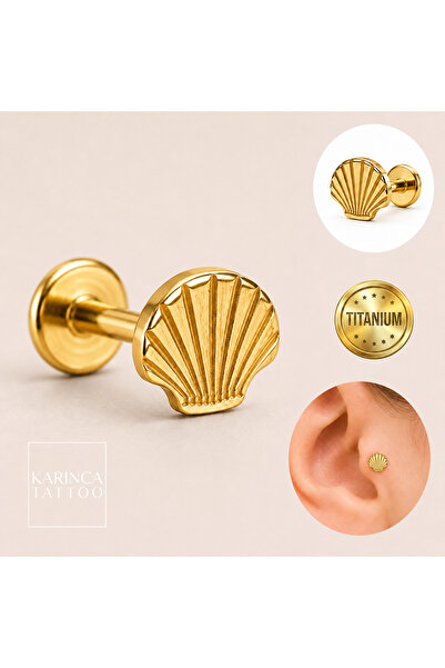 Karınca Piercing %100 Titanyum Piercing Deniz Kabuğu Forward Helix Kulak Labr...