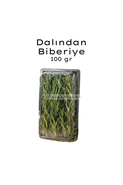 Organikiste Doğal Biberiye 100g | Bahçeden Dalından Toplanmış, Taze Aromatik ...